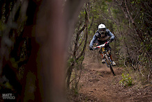 On the gas through the bushes.