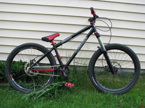 downhill forks on a hardtail